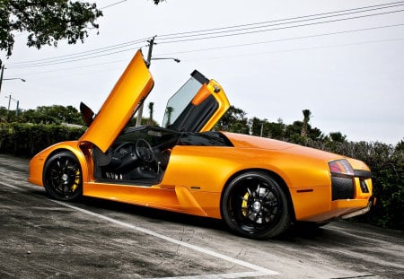 Lamborghini Murcielago lp640 - lamborgini, 2011, 08, 27, orange