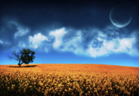 Abstract landscape - moon, tree, abstract, landscape