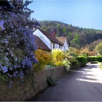 a street in an english village