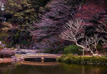 spring in japan - lake, forest, japan, flowers, spring, trees, nature, color