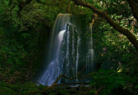 New Zealand matai falls - forest, trees, new zealand, waterfall, matai falls