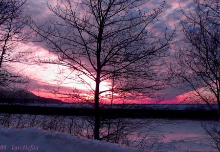 Red sky - color