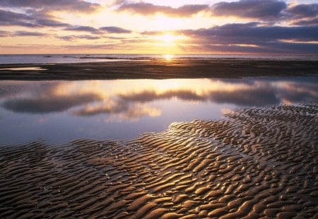 texel beach  - beach, texel