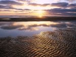 texel beach 