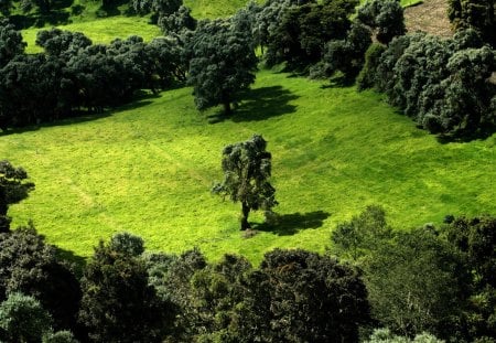 deep green  - deep, green, fields