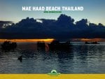 mae haad beach 