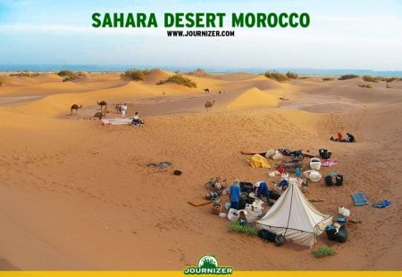 sahara desert  - desert, sahara