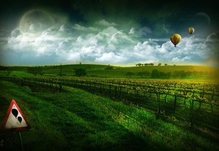 The Vineyard - vineyard, sky, landscape, light, field, signboard, wine, balloons, clouds, green, farms, vineyards, landscapes