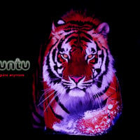 Ubuntu Tiger