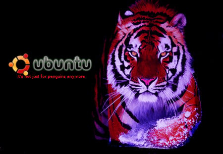 Ubuntu Tiger