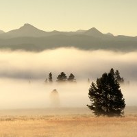 Fog At Sunrise Pelican Valley, National Park Wyoming !!!