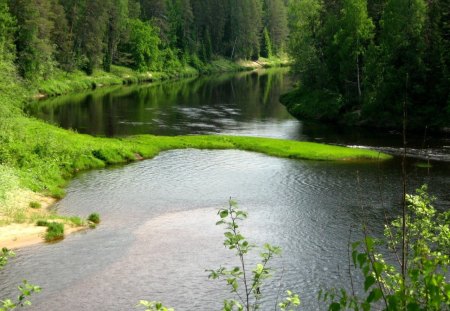 nature - lake, forest, trees