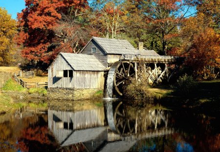 watermill - lake, watermill, forest, water, mill, house, trees, nature