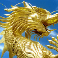 golden dragon