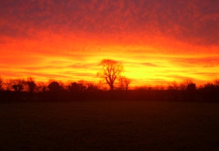 winter sunrise - nature