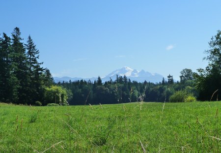 Mount Baker Summer Day - volcano, sky, summer, field, mountains, pacific northwest, firefox persona, washington