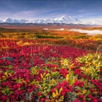 AUTUMN IN ALASKA