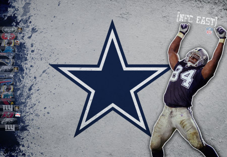 Dallas cowboy - sport, cowboy, 2011, 08, 28