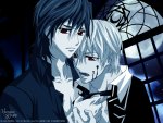 Vampire Knight