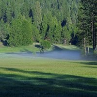 MEADOW FOGGY GREEN