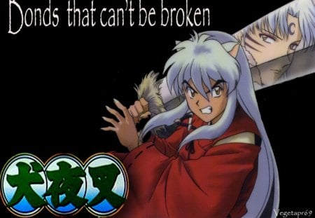 inuyasha and sesshoumaru bonds - inuyasha, tessaiga, demons, sesshoumaru