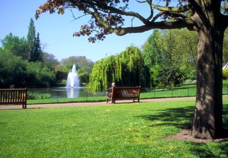 RECREATION PARK - architecture, park, tree, recreation