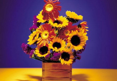 sunflowers and chrysanthemum - chrysanthemum, sunflowers, still life, arrangement