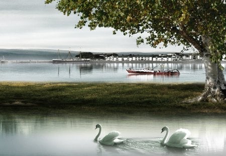 Harbor Swans - clouds, bay, harbor, tree, swans, ocean, boats