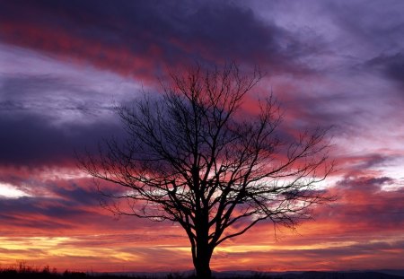 Colorful Sky - virginia, sky, landscape, trees, colorful, park, sunset, national, pretty, shenandoah, clouds, beautiful, colors, awesome, tree