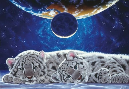 BABY  WHITE TIGERS;W.SCHIMMEL - white, yigers, baby, artwork