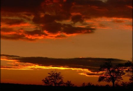 Sunset in Bia - biatorbagy, home, hungary, sunset, summer