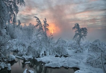 Wonder - white, winter, sunset, winter scene, fog, forest, wonder