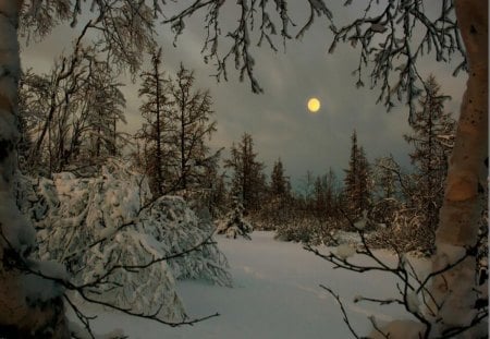 Winter evening - winter, moon, evening, snow