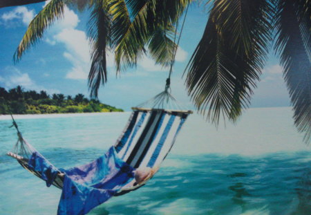 A nice View on a perfect Day - turqouise, island, palms, beach