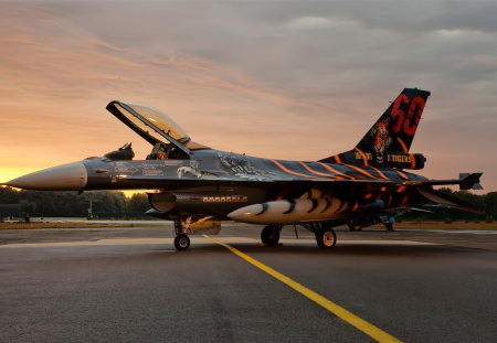 Wild Paint - f16, paint, jet, sunset, custom, falcon