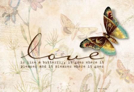 Love Is Like A Butterfly - love, butterfly, flowers, butterflies