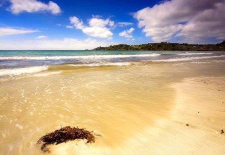 Golden Sand - sand, sky, ocean, clouds