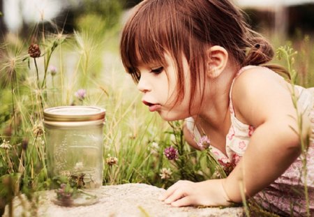 I see you - rock, field of flowers, bug, glass jar, child