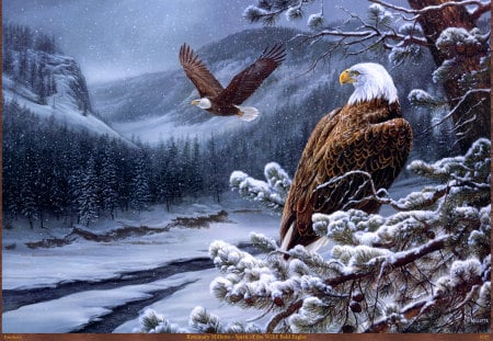 FLY LIKE AN EAGLE - wildlife, draw and paint, eagles, animals, winter, painting, love four seasons, snow, wwinter, paintings, birds, fly