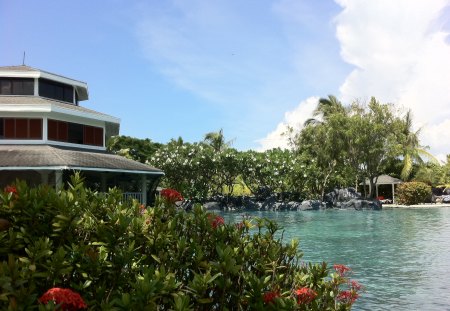 Plantation bay - beach, plantation, resort, pool, bay