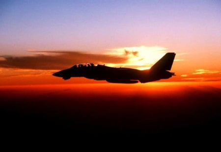 night fly ( f14 tomcat )