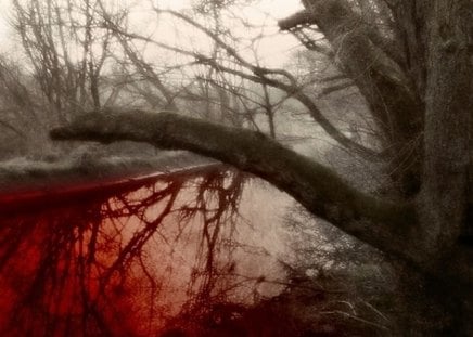 Suicide nature - suicide, lake, forest, dark, winter, blood, gothic, fantasy