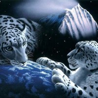 White tigers art