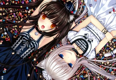 Vanilla and Chocola