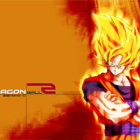 Z Fighter Goku