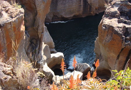 Bourke's Luck Potholes - soft rock, deep water, natural aloe vegetation, a splash of colour