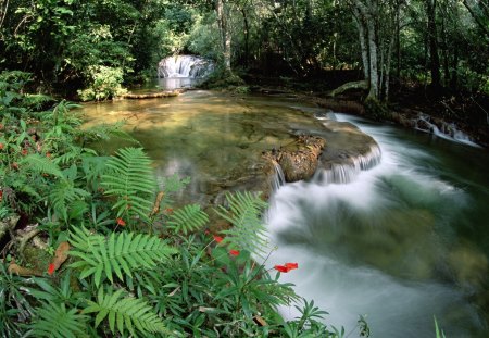 Waterfall - nature, forest, waterfall, other