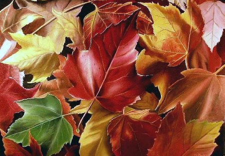 Autumn leaves - fall, autumn, painting, leaf, art