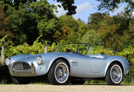 AC Cobra - cobra, shelby, car, ac, classic, antique