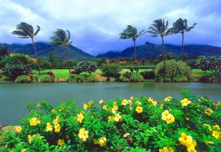 Flowers - flowers, river, nature, other